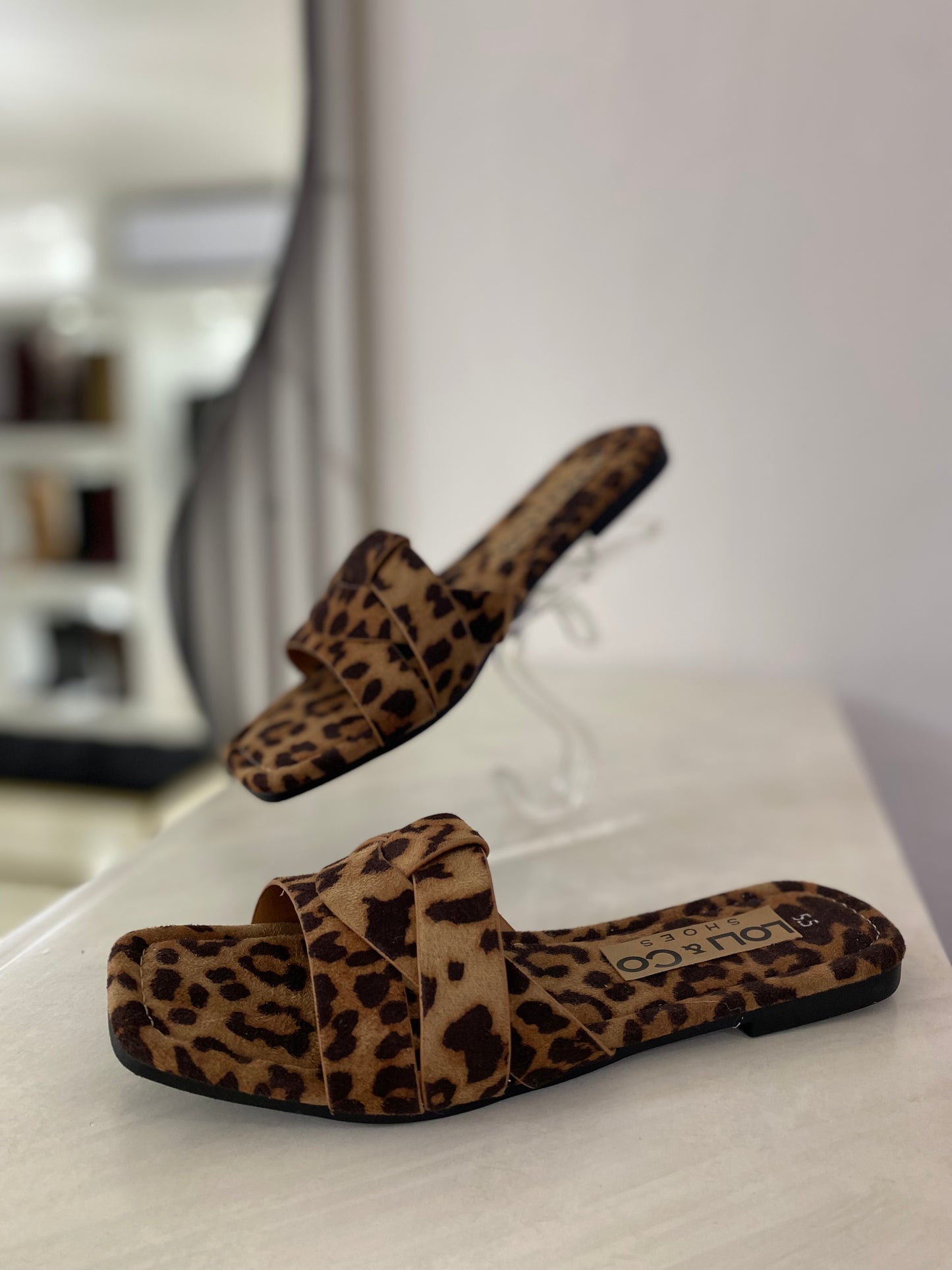 Leopardo